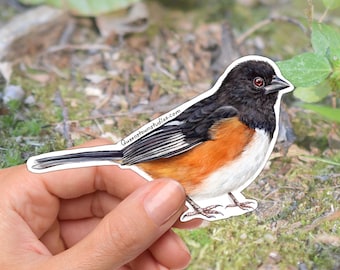 Towhee Bird Vinyl Sticker, Bird Watching Gift, Waterproof Decal