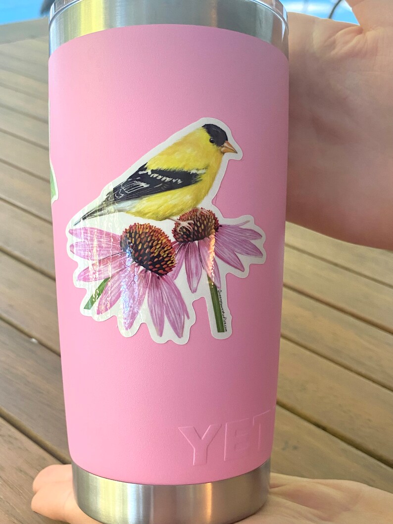 Puede incluir: Un vaso Yeti rosa con una pegatina de un jilguero amarillo posado sobre unas equin&aacute;ceas moradas. La pegatina dice "Jilguero com&uacute;n".
