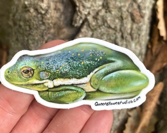 Green Tree Frog Vinyl Sticker, Hand-Painted Decal