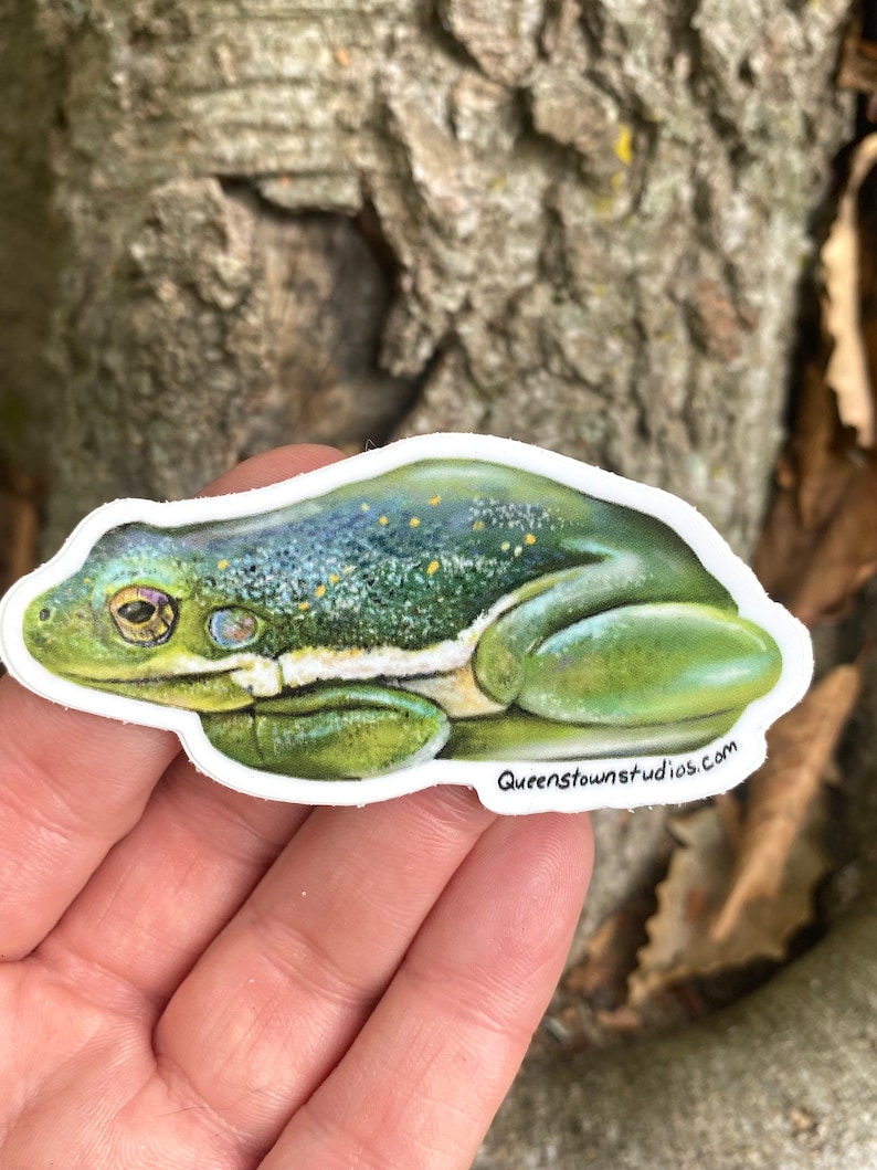Green Tree Frog Vinyl Sticker, Hand-painted Decal - Etsy