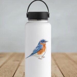 May include: A white water bottle with a black lid and handle. A sticker of a bluebird with blue, orange, and white feathers is affixed to the bottle. The bottle is on a wooden surface.