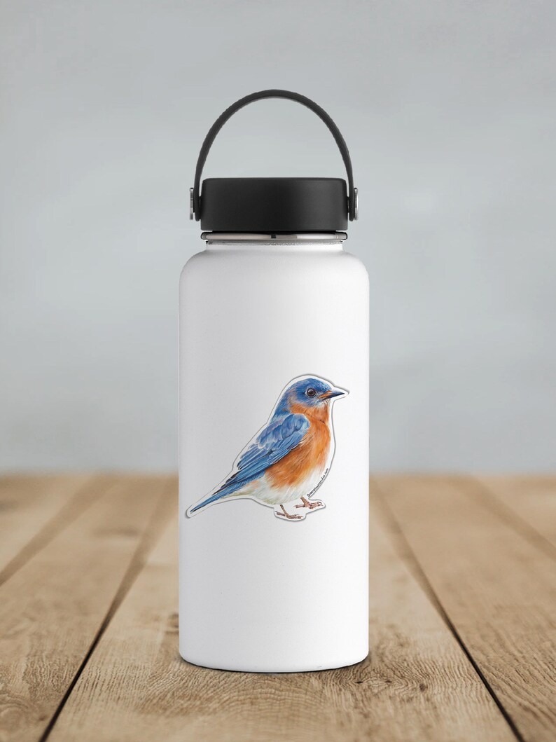 May include: A white water bottle with a black lid and handle. A sticker of a bluebird with blue, orange, and white feathers is affixed to the bottle. The bottle is on a wooden surface.