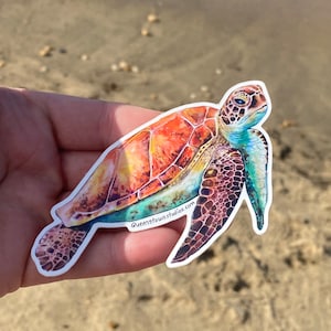 May include: A colorful sticker of a sea turtle with a vibrant orange, yellow, and blue shell. The sticker has a white border and the text "Queenstownstudios.com" is printed on the bottom.