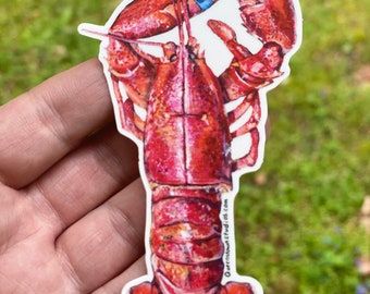 Watercolor Cooked Lobster Vinyl Sticker, New England Decal