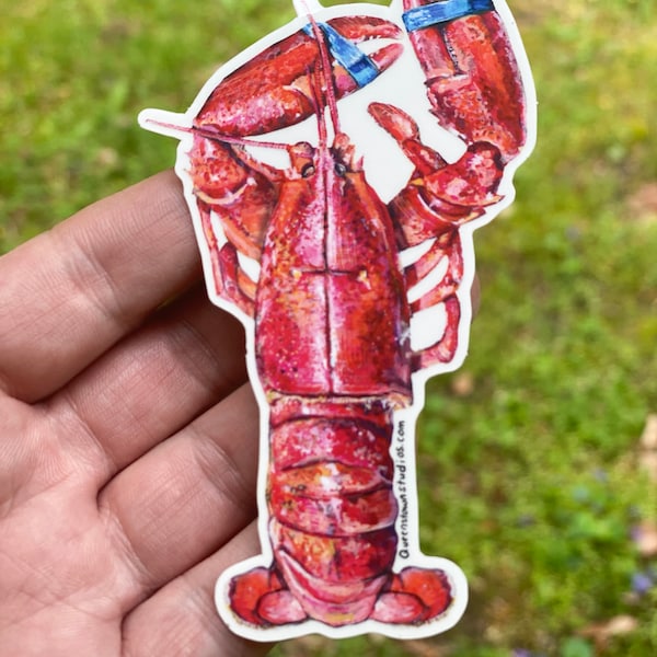 Watercolor Cooked Lobster vinyl sticker, laptop sticker, New England themed decal, water bottle sticker