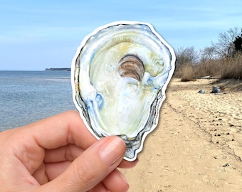 Oyster Shell Vinyl Sticker, Coastal Watercolor Art Decal