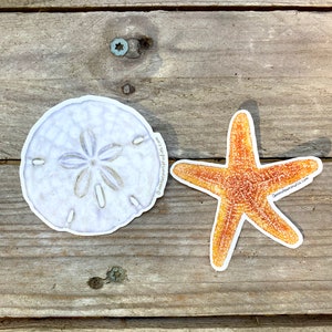 May include: Two stickers, one with a white sand dollar and the other with an orange starfish. Both stickers have the text "Queensofburtsstudios.com" on them.