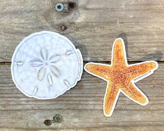 Sand Dollar and Starfish Stickers, TWO sticker set, waterproof vinyl sticker with clear borders