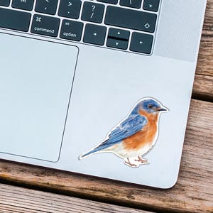May include: A sticker featuring a watercolor illustration of a bluebird. The bird has blue wings and head, an orange breast, and is perched on a white background. The sticker is placed on a laptop.