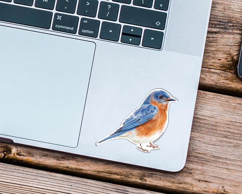 May include: A sticker featuring a watercolor illustration of a bluebird. The bird has blue wings and head, an orange breast, and is perched on a white background. The sticker is placed on a laptop.