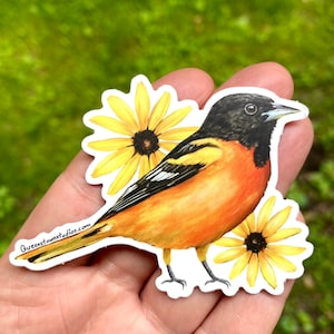 Oriole Bird Sticker vinyl sticker, from hand painted art for laptop, water bottles, and journals