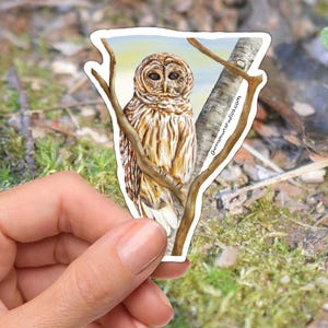 May include: A sticker featuring a detailed illustration of a Barred Owl perched on a tree branch. The owl has brown and white striped feathers and large, dark eyes. The sticker has a white border and the text "queensmounstudios.com".