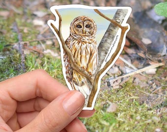 Barred Owl Vinyl Sticker, Bird watching and nature gift