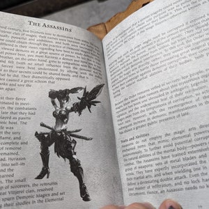 Op de afbeelding: Een zwart-witte illustratie van een vrouwelijke krijger met een zwaard en een dolk. De krijger draagt een leren outfit en heeft lang, donker haar. De tekst "The Assassins" staat bovenaan de pagina.