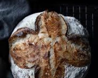 Century-Old Sourdough: A Legacy of Flavor and Fermentation