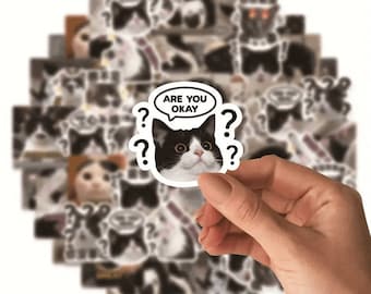 Meme kattenstickers, laptop-, planner- en waterflesstickers (10/20/30 stuks)