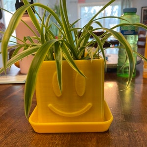 May include: A yellow planter with a smiley face design holds a green and white spider plant. The planter has a matching yellow saucer.