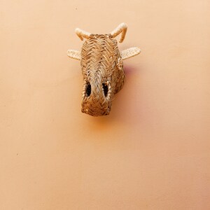 May include: A woven straw bull's head mounted on a light orange wall.