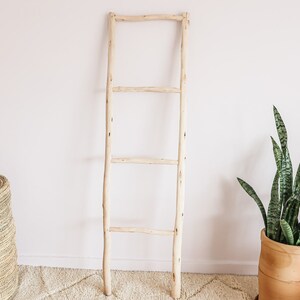 Puede incluir: Una estanter&iacute;a de madera natural en forma de escalera con tres pelda&ntilde;os. La escalera est&aacute; apoyada en una pared blanca y est&aacute; delante de una alfombra marr&oacute;n claro. Una planta serpiente en maceta se encuentra a la derecha de la imagen.
