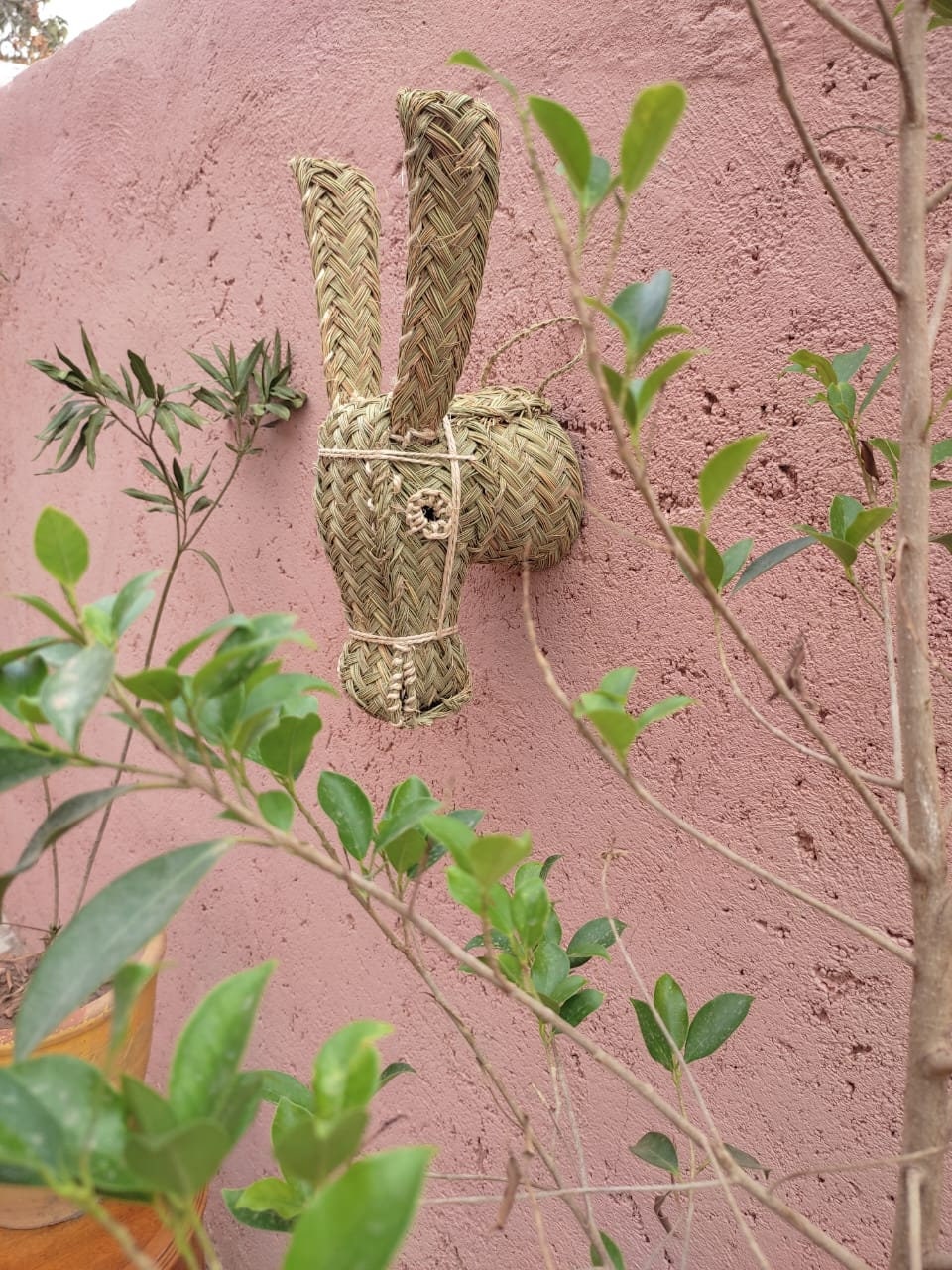 Animal Head Wall Hanging Donkey Head Wall Art Rattan Wall Etsy