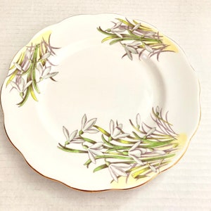 Vintage Vtg Royal Albert Snow Drop Plate Collector Flower Of The Month January 8” Salad Luncheon Dish