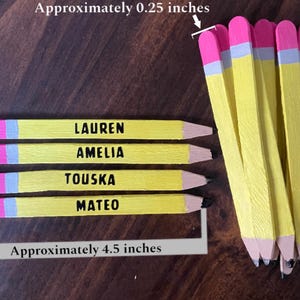 Pencil Equity Sticks | Classroom Management | Flip Sticks | Teacher Calling Sticks | Pick Me Sticks | Back to School | Name Popsicle Sticks