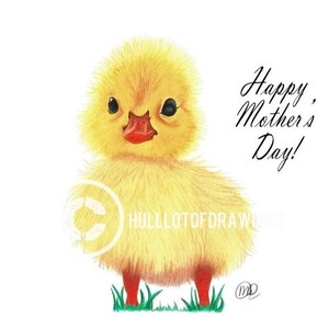 Fluffy Duck Drawing Realistic Print Colored Pencil Drawing Handmade Gift Animal Lover Birthday Present Mothers Day Gift Wall Art Home Decor