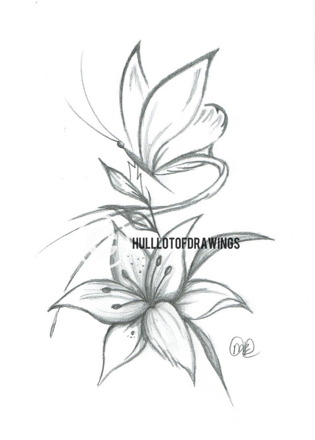 Butterfly and Flower Drawing Print Handmade Gift Wall Art Flower Art