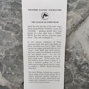 The Legend of Spirit Bear
