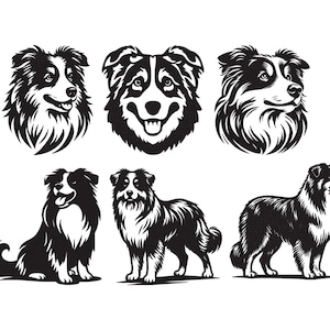 Pode incluir: Ilustrações a preto e branco de Border Collies. A imagem apresenta três retratos de cabeça e três representações de corpo inteiro da raça. Os cães são mostrados em várias poses, incluindo sentados, em pé e voltados para direções diferentes.