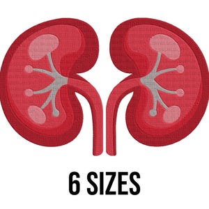 Nieren Bundle Stickerei Design - Nieren Stickdateien - Nieren Stickerei - Menschliches Organ Maschinenstickerei Design Dateien-6 Größen