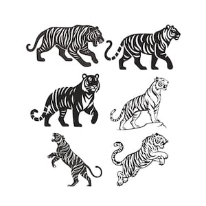 Puede incluir: Seis ilustraciones de tigres en blanco y negro en diferentes poses. Los tigres se muestran caminando, de pie y saltando, destacando sus patrones de rayas y formas musculares. Adecuado para proyectos de diseño gráfico.