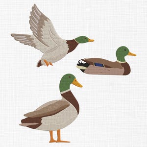 May include: Three decorative duck cutouts in various poses. One duck is in flight with outstretched wings, while another floats on water. The ducks feature green heads, brown bodies, and yellow beaks, set against a white background.