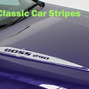 May include: A purple car bonnet with a silver stripe and the text "BOSS 290" on it. The car bonnet has a classic car stripe design.