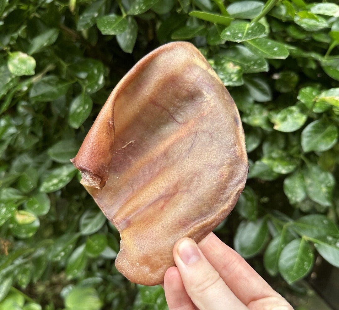 Pig Ear, Dehydrated Treats for Dogs, Single Ingredient Dog Treat, All
