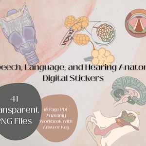 Anatomy of speech, language, hearing Digital Stickers and Workbook | Note Taking Tools | Audiology | SLP | Speech Pathology | Study Guide