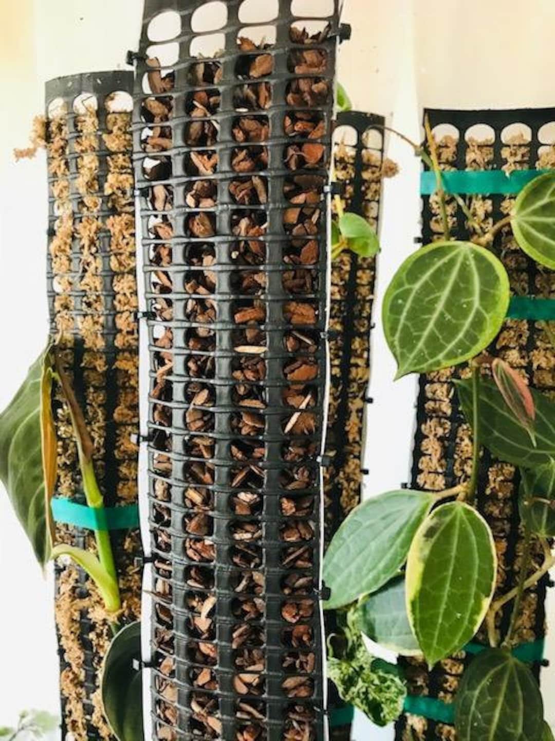 D Shaped Orchid Bark Moss Poleorchid Bark Pole, Half Moon Moss Pole, 24in Moss Pole, Pine Bark