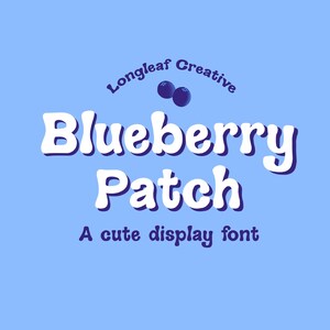 Blueberry Patch Handwritten Cute Bubble Font