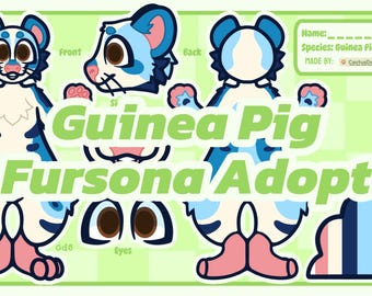 Guinea Pig Fursona Adopt - Full Reference Sheet