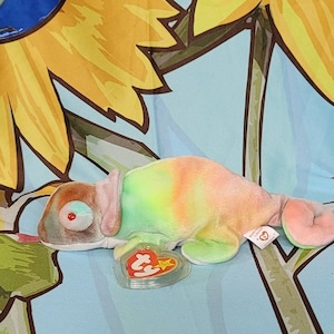Rainbow / Chameleon / TY Beanie Babies