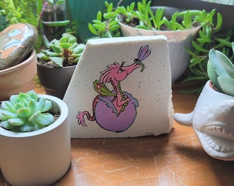 Cría de dragón rosa / Roca pintada