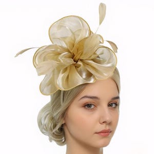 Fascinator, Women&#39;s Tea Party Hat, Church Hat, Kentucky Derby Hat, Fancy Hat, Wedding Hat, With Clip and Hairband