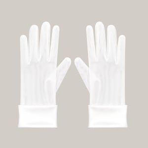 May include: A pair of white gloves with a sheer, textured appearance. The gloves have a cuff at the wrist. The background is a solid, neutral color.