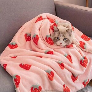 Strawberry Print Plush Pet Blanket