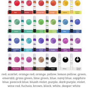 May include: A color chart showing 24 different colors of paint. The colors are arranged in rows and columns. The colors include red, scarlet, orange red, orange, yellow, lemon yellow, green, emerald, grass green, lime green, blue, navy blue, sapphire blue, peacock blue, bluish violet, purple, dark purple, violet, wine red, fuchsia, brown, black, white, and deeper white.