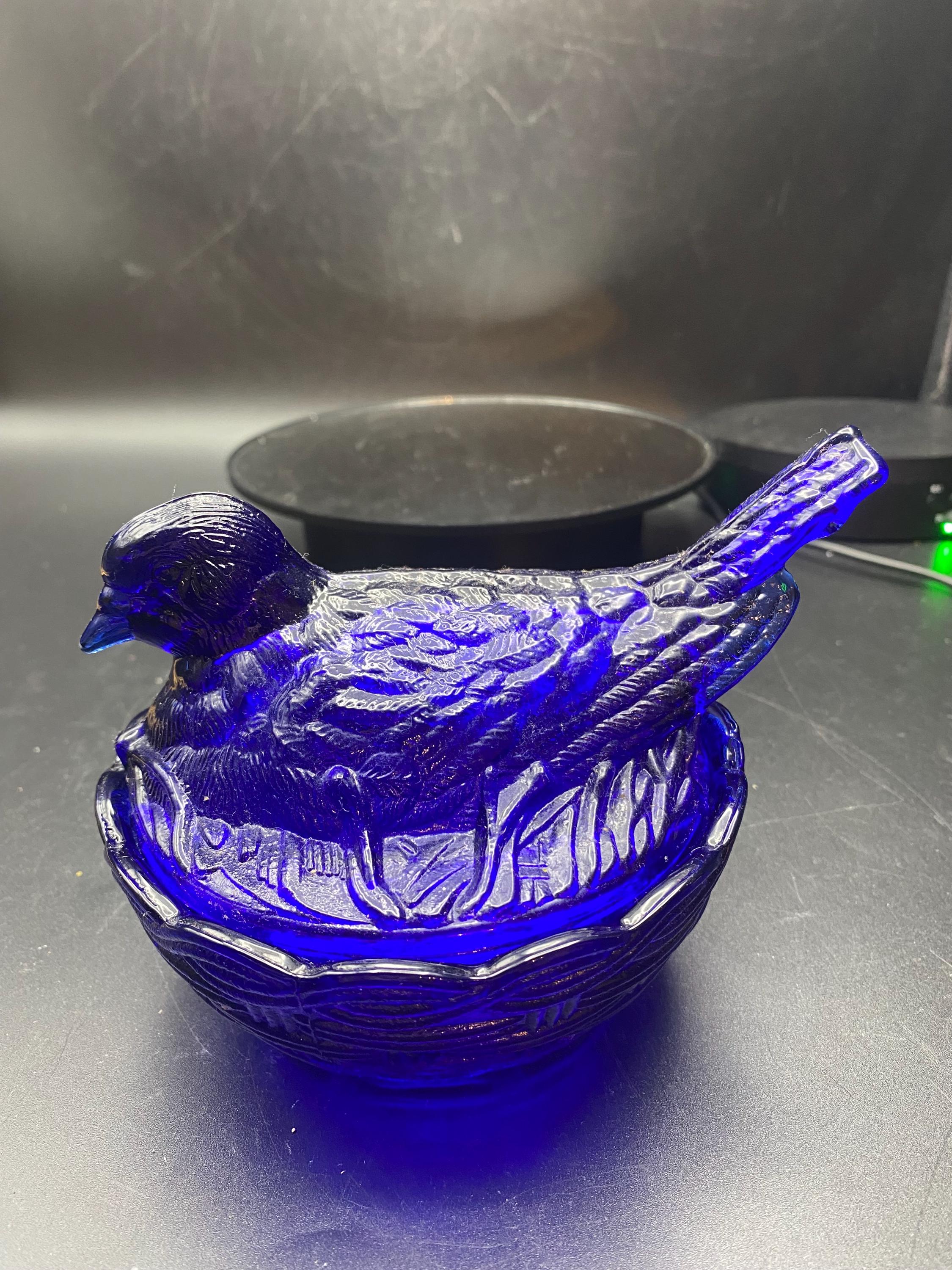 Cobalt Dove / Bird on a Nest