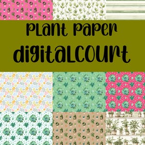 May include: A collection of digital papers featuring various plant-themed patterns. Designs include potted plants on pink, green leaf patterns, succulents, and a shelf of potted plants. The text "PLANT PAPER digitalCOUNT" is displayed in the center.