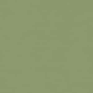 Peut inclure: Un champ uni et uniforme de couleur vert sauge. La surface semble lisse et mate, affichant une teinte verte sourde et coh&eacute;rente sur tout le cadre, sans aucun motif, texture, objet ou &eacute;l&eacute;ment de design suppl&eacute;mentaire visible.