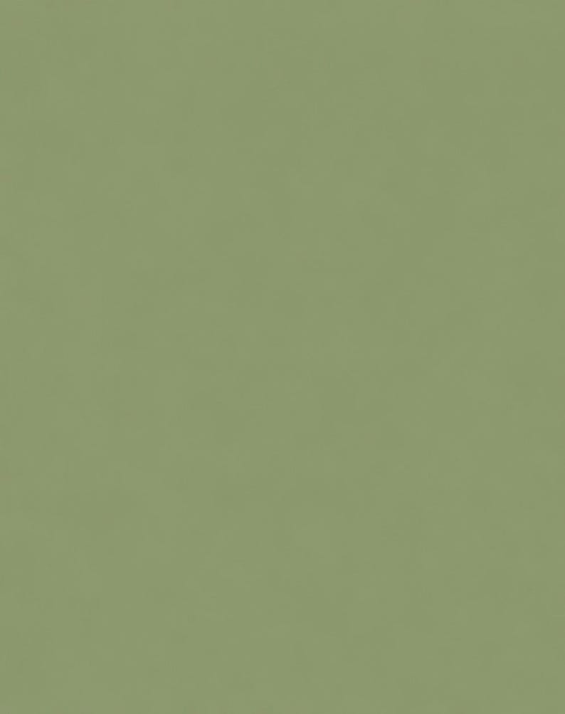 Peut inclure: Un champ uni et uniforme de couleur vert sauge. La surface semble lisse et mate, affichant une teinte verte sourde et coh&eacute;rente sur tout le cadre, sans aucun motif, texture, objet ou &eacute;l&eacute;ment de design suppl&eacute;mentaire visible.