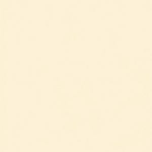 Peut inclure: Une surface rectangulaire unie, plate et uniforme, pr&eacute;sentant une couleur cr&egrave;me claire ou blanc cass&eacute;. La texture semble lisse et coh&eacute;rente sur tout le champ, sans aucun motif, objet, marquage ou variation de ton visible.